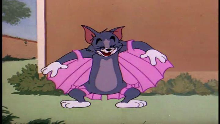 Tom and jerry sales flying cat full episode